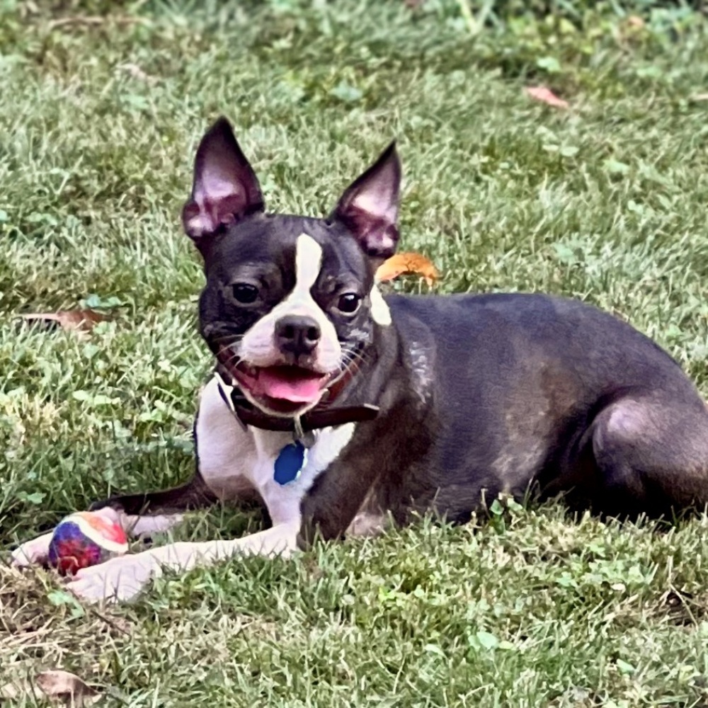 Meet your Posher, Jana